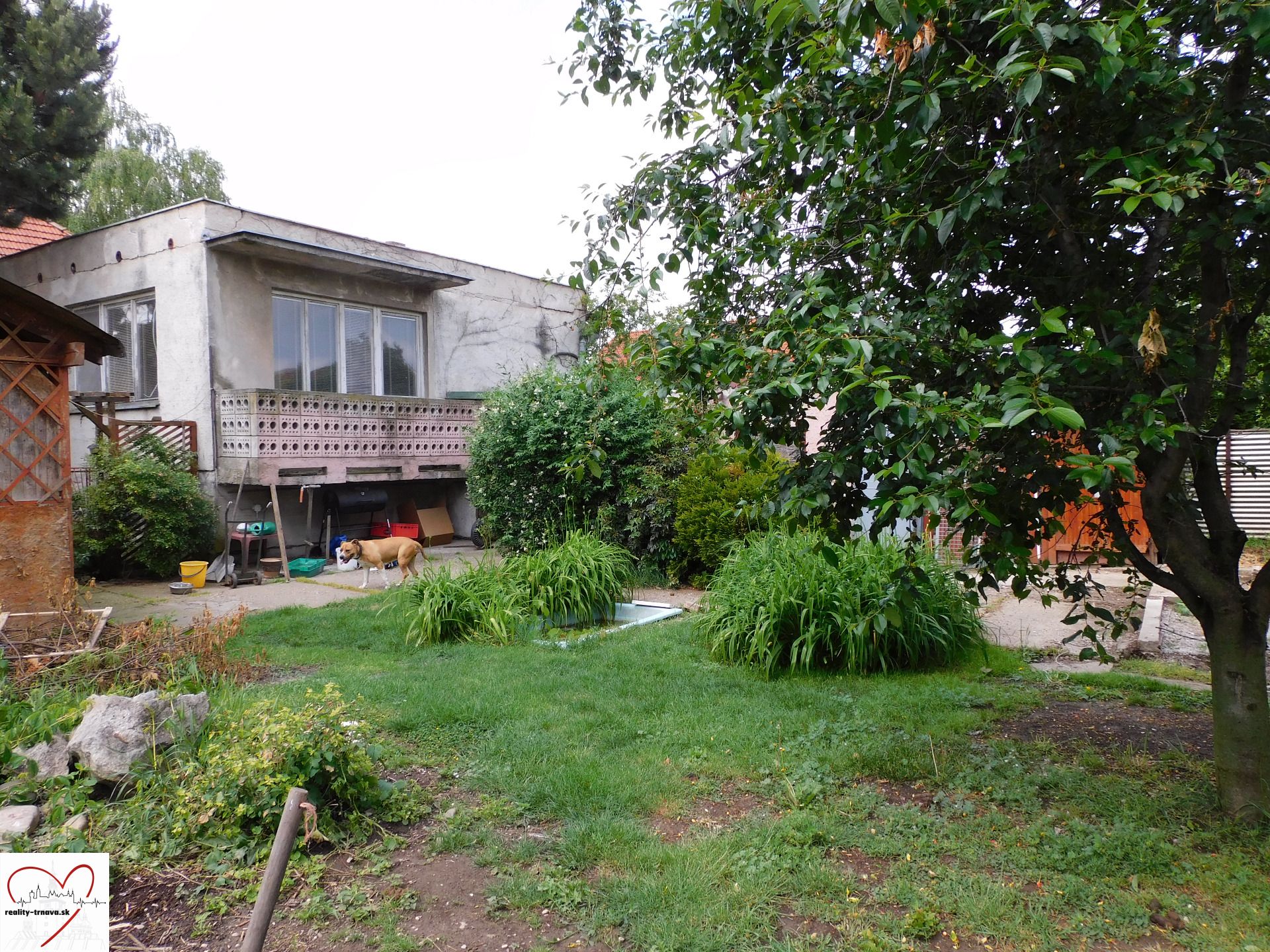 DSCN3028.JPG