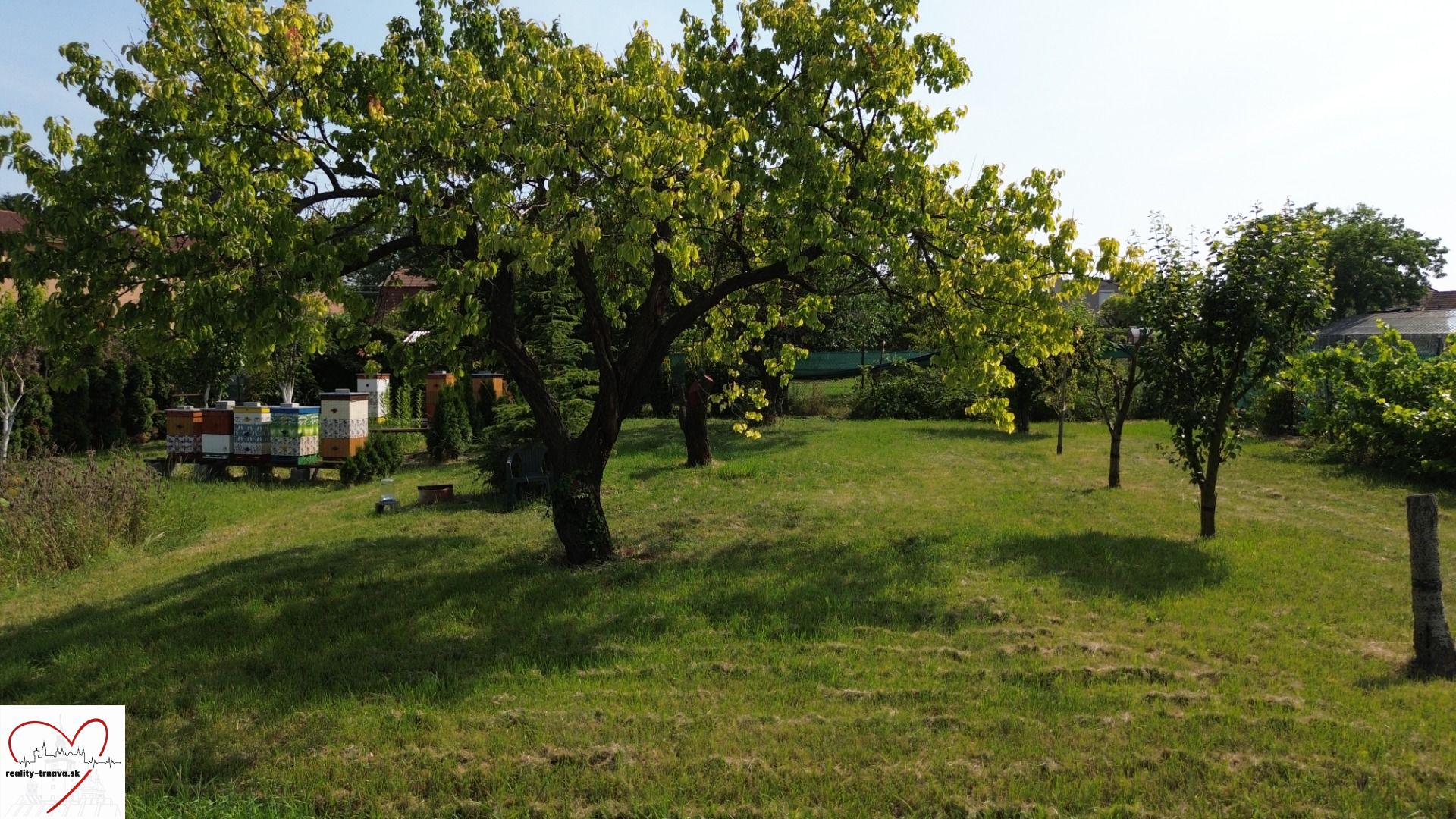 DJI_0260.JPG