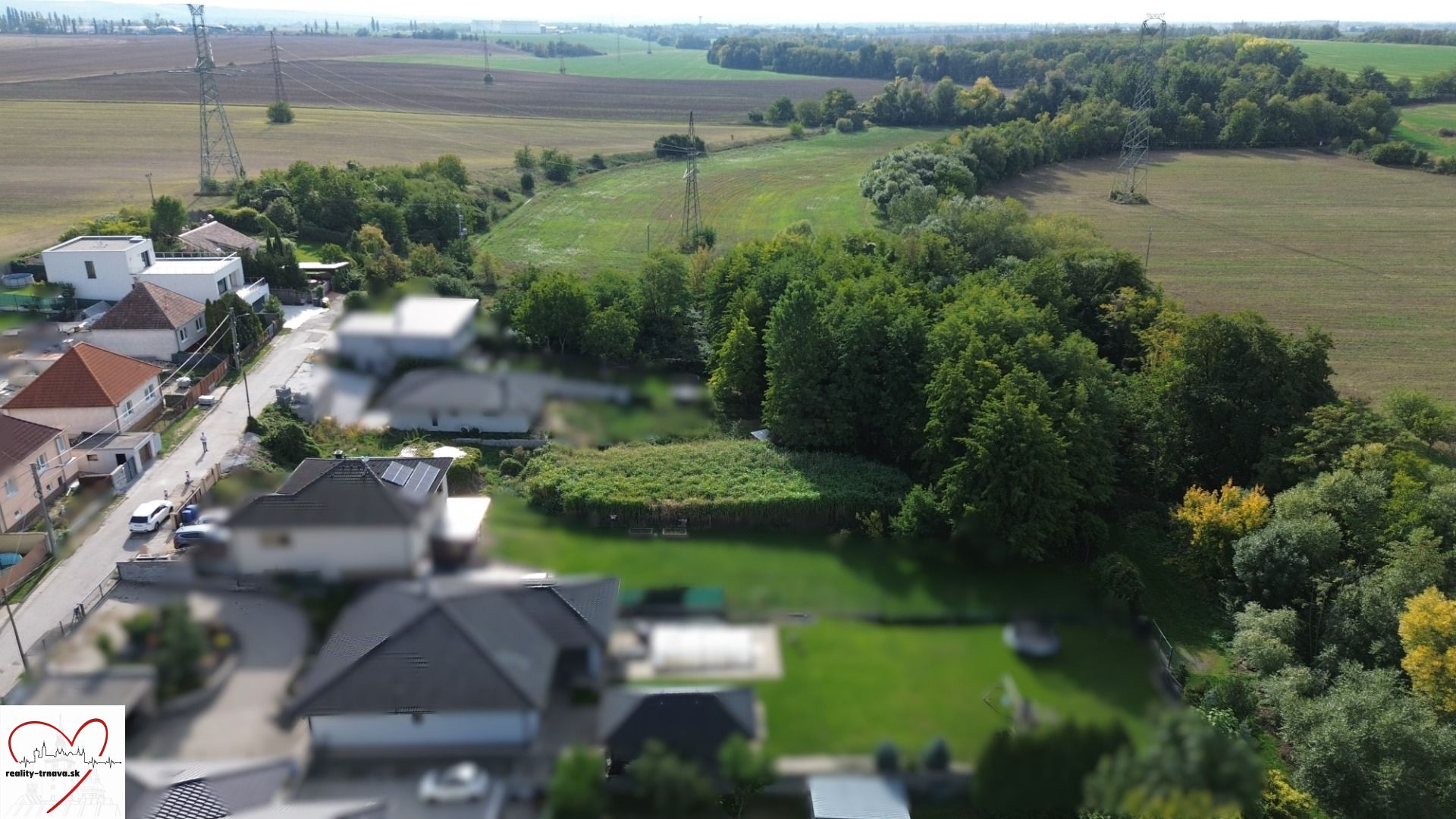 DJI_0619.jpg